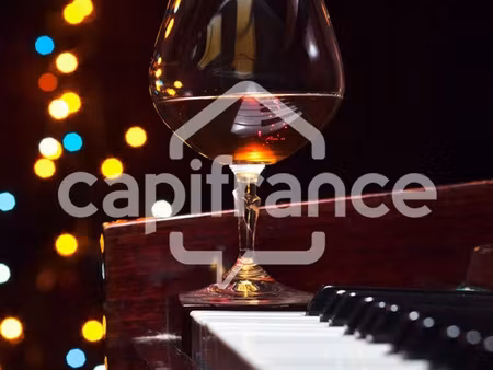 vente locaux professionnels 299 m² à chantonnay (85110)  319 000 €