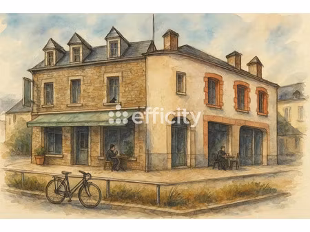 vente locaux professionnels 463 m² à ploermel (56800)  99 000 €