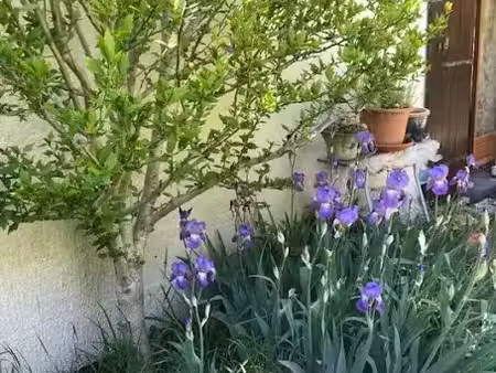 location meublée appartement 2 pièces 31 m² à courcouronnes (91080)  900 €