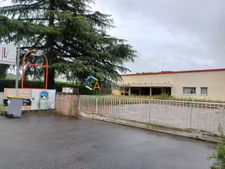 local d'activités - bureaux - salle d'exposition - stockage