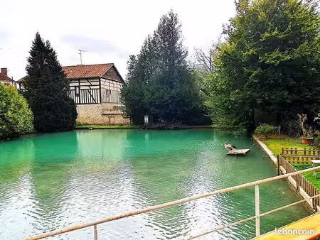 propriété 265 m² soulaines-dhuys