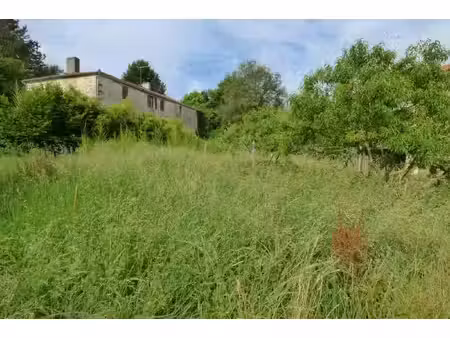 terrain à vendre la jaudonnière