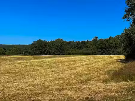 vente terrain 9518 m² à saint-remy (24700)  33 500 €