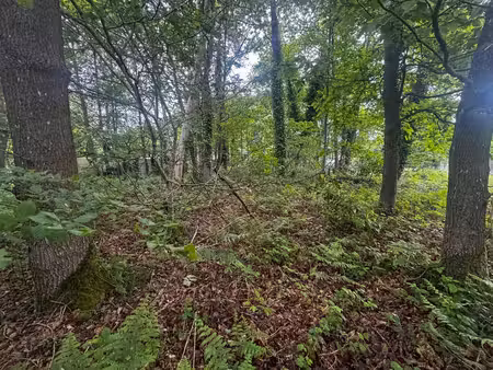 terrain à vendre