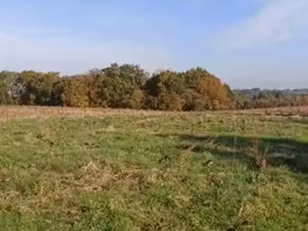 terrain a bâtir avec cu opérationnel urgent