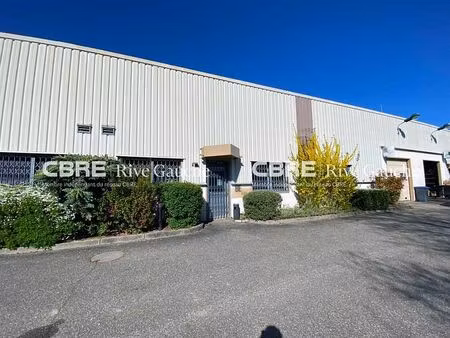 location local d'activités schiltigheim 320 m²