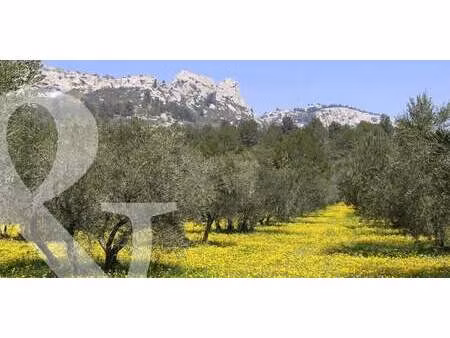 terrain paradou (13)