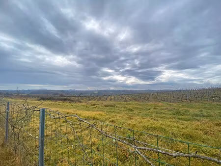 vente terrain pellegrue (33790)