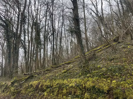 vente terrain vailly-sur-aisne (02370)