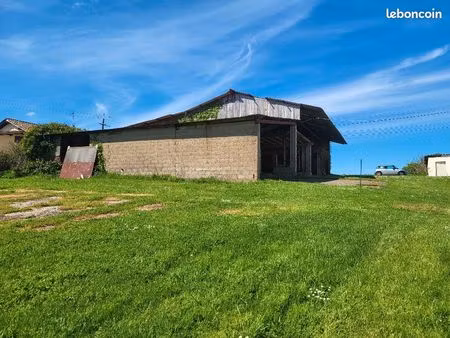 maison 1 pièce 300 m²