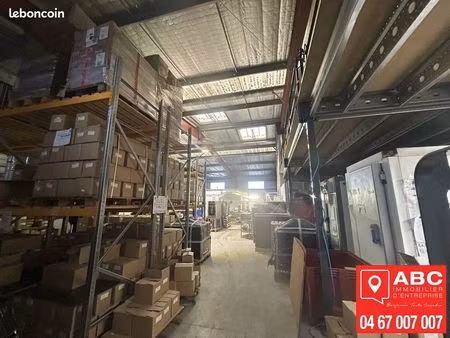 local d'activité 380 m²