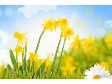 terrain 600 m² pouilly les feurs