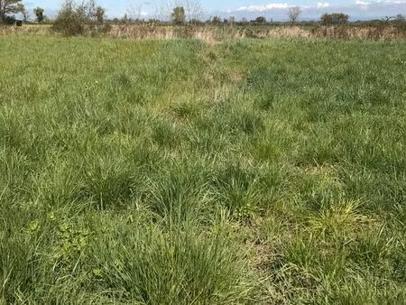 recherche terrain agricole