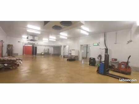 entrepot - logistique 1500 m² la tour du pin