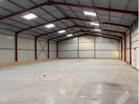 locaux commerciaux  artisanaux et industriels