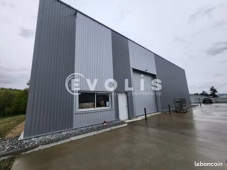 local d'activité 593 m²