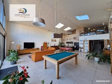 loft/atelier/surface 7 pièces 315 m²