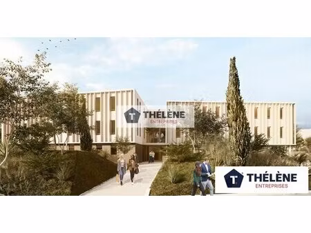 achat local professionnel 1 907m² juvignac 34990