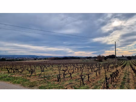 achat terrain 4 800m² lagamas 34150