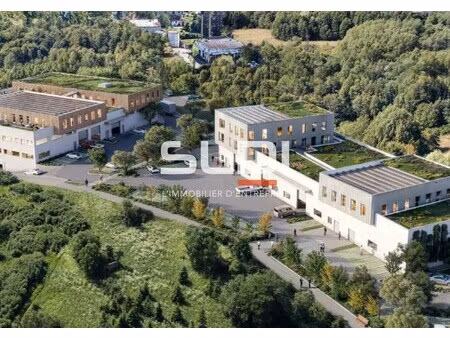 achat local professionnel 1 594m² seynod 74600