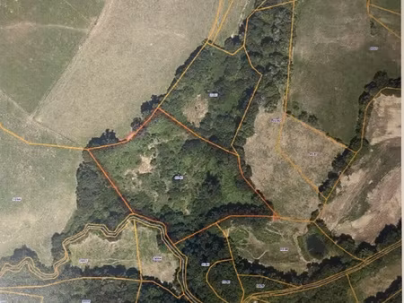 achat terrain 14 348m² beyssac 19230