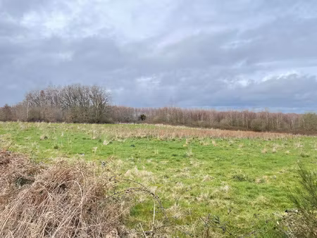 achat terrain 9 009m² lesterps 16420