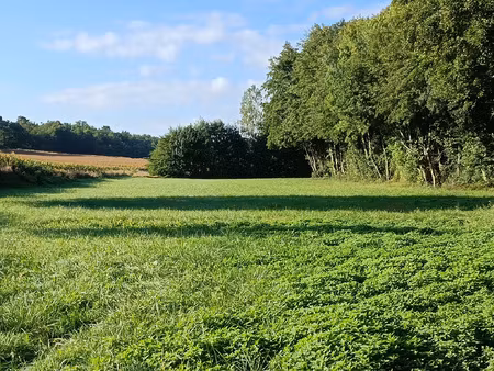 achat terrain 6 660m² condeon 16360