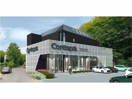 location local professionnel 235m²