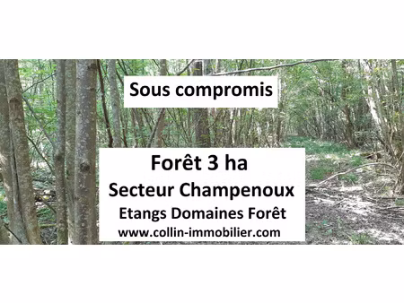 achat terrain 30 000m² champenoux 54280