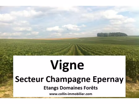 achat terrain 50m² epernay 51200