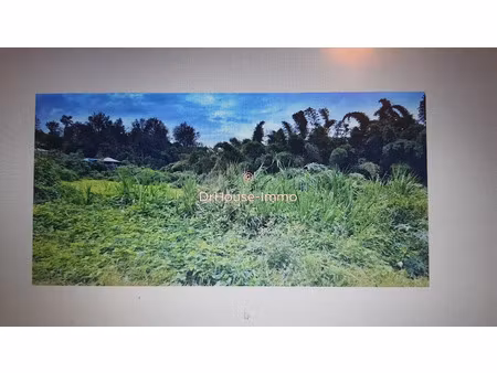 vente terrain 290 m² à le tampon (97430)  113 000 €