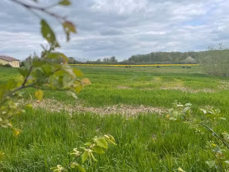 vente terrain 560 m² à hagen (57570)  190 000 €