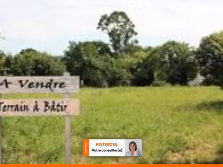 terrain de 2 090 00 m² allemans du dropt (47)