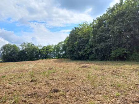 achat terrain 3 000m² castelnau magnoac 65230