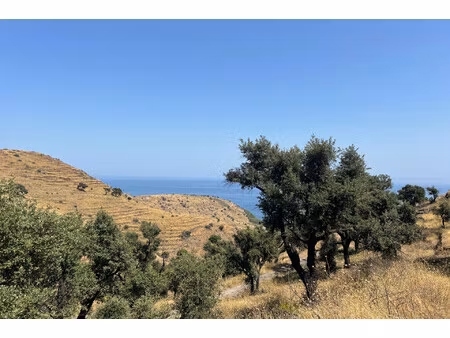 achat terrain 31 779m² banyuls sur mer 66650