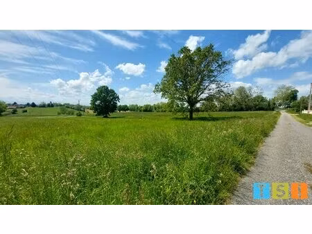 achat terrain 5 820m² ciadoux 31350
