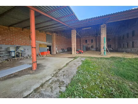 achat terrain 7 000m² lafitte 82100