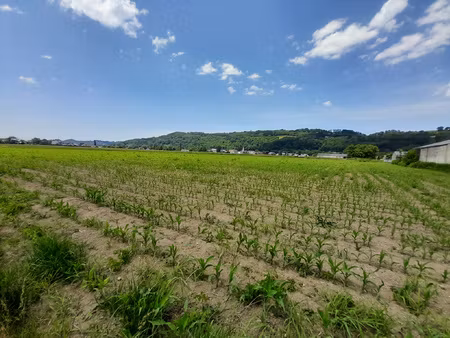 achat terrain 6 181m² lezignan 65100