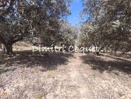achat terrain 5 280m² pezenas 34120