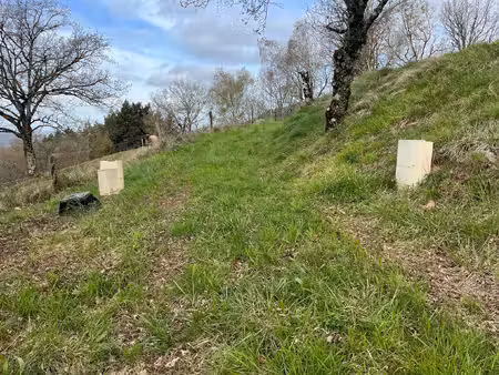 achat terrain pruines 12320