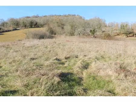 achat terrain 4 000m² brengues 46320