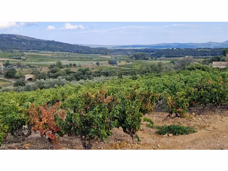 achat terrain 569m² montpeyroux 34150