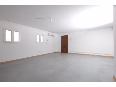 achat local professionnel 120m² aigues mortes 30220