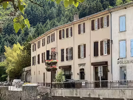 achat maison 24 pièces 1 100m² valleraugue 30570