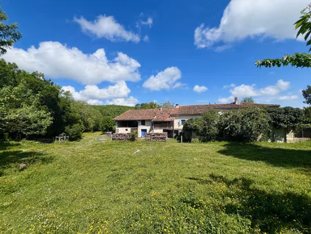 achat maison 8 pièces 300m² le mas d azil 09290