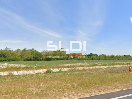 achat terrain 27 705m² villieu loyes mollon 01800