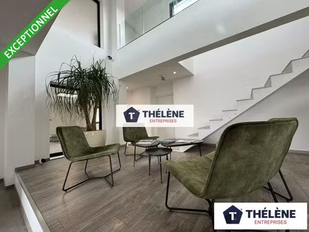 achat local professionnel 265m² balaruc les bains 34540