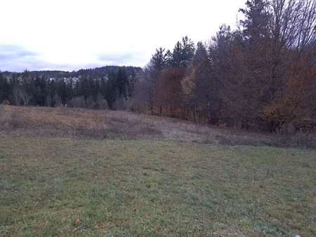 achat terrain 2 100m² le chambon sur lignon 43400