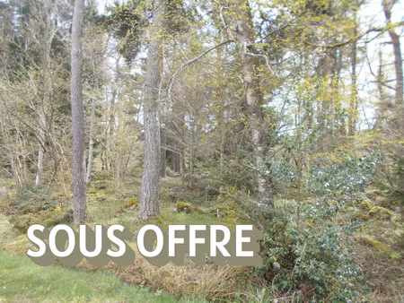 achat terrain 991m² st jeures 43200
