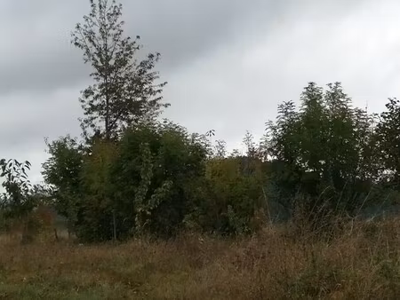 achat terrain 775m² st paulien 43350